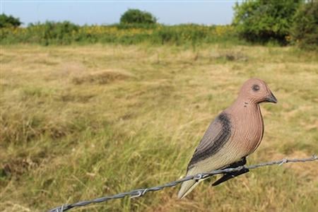 MO OUTFITTERS Clip-On Foam Dove Decoy 6 Pack