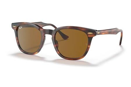 HAWKEYE STRIPED HAVANA W/BROWN LENSES