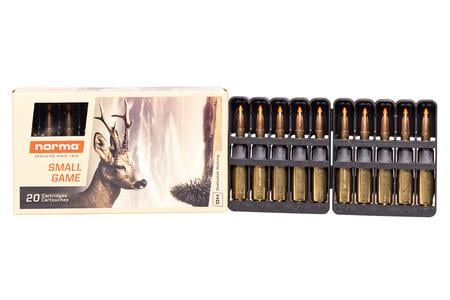 NORMA USA 243 Win 76 Gr TipStrike 20/Box