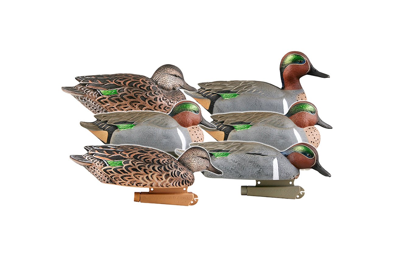 BANDED PG GREEN-WINGED TEAL (6-PACK)