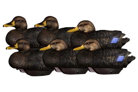 FLEXFLOAT BLACK DUCK 6 PACK