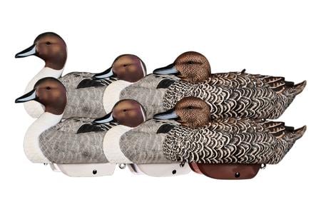 HEYDAY HydroFoam Pintails 6-Pack