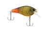 Color: FIRETAILGREENCRAW