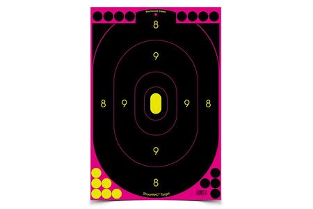 BIRCHWOOD CASEY Shoot-N-C 12x18 Pink Target