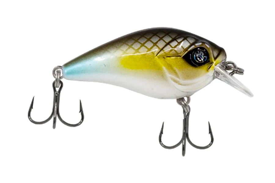 Discount Catch Co Googan Squad Banger Mini and Micro for Sale, Online  Fishing Baits Store