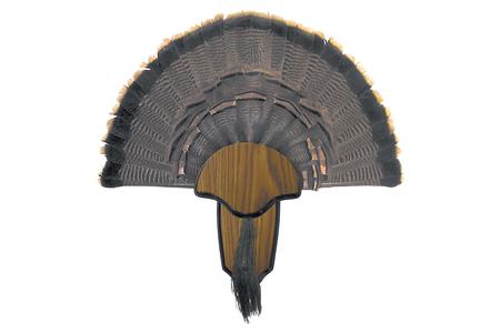 HUNTERS SPECIALTIES Turkey Tail And Beard Mounting Kit