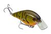 Color: ORANGEBELLYCRAW