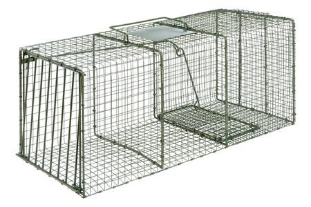 HD X-LARGE CAGE TRAP RACCOON FOXES, CATS 