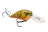 Color: GRNORNBELLYCRAW