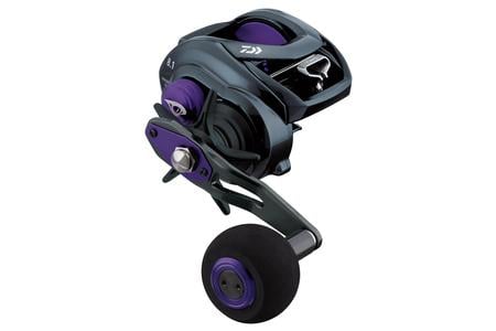 PROREX TW BAITCAST REEL