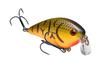 Color: ORANGEBELLYCRAW.564