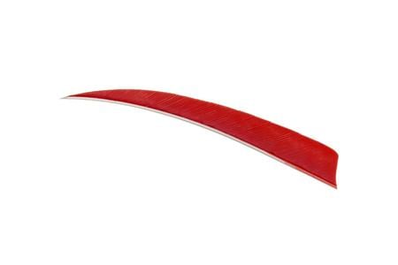 TRUEFLIGHT SHIELD CUT FEATHERS RED 4 IN. RW 100 PK