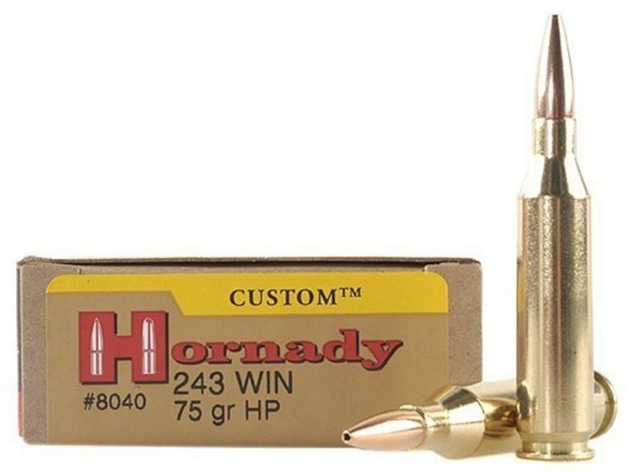 Hornady 243 WIN 75 GR HP 20 Box Vance Outdoors hornady-243-win-75-gr-hp-20-box-vance-outdoors