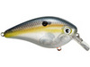 Color: CLEARGHOSTSXSHAD.500