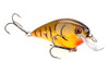 Color: ORGBELLYCRAW.564