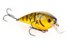Color: ORGBELLYCRAW.564