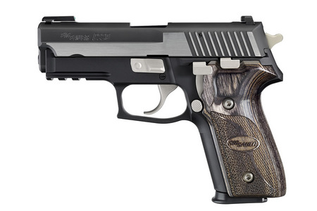 P229 EQUINOX 40 S&W WITH NICKEL ACCENTS