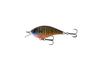 Color: LIVEBLUEGILL