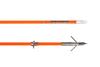 30 06 OUTDOORS ORANGE STIX BOWFISHING COMPLETE ARROW 24PC DISPLAY 