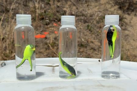 TADPOLE TARGETS GEN3 (PACK OF 1)