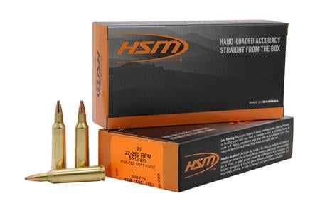 HSM 222504N      22250    55 SP              20/25