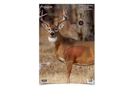 BC PREGAME 16.5 X 24 WHITETAIL TARGET 3 PK