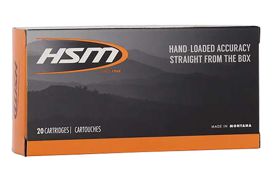 Hsm 45-70 Government 300 Grain Jacketed Hollow Point 20/Box