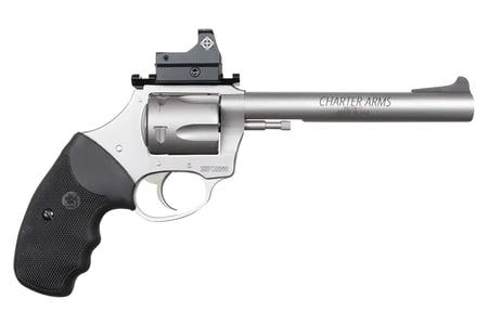 CHA 74465 TARGET MASTIFF    4SP 6    5SHT OR    SS