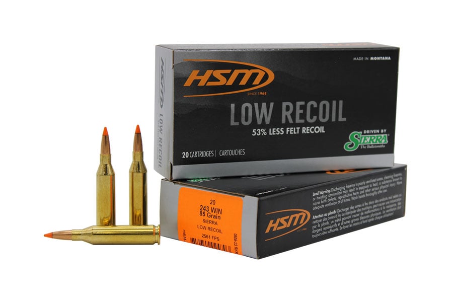 Hsm 243 Winchester 85 Grain Orange Polymer Tip Low Recoil 20/Box