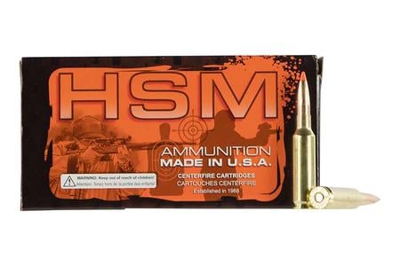 HSM 300WINMAG51N 300WIN  165 SST TIPPING PT2 20/20