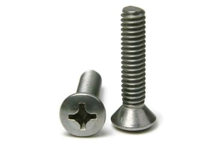 1/4-20X2 PHILLIP OVAL HEAD M/S SS