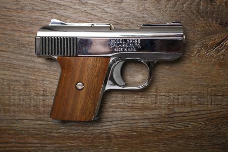 RAVEN ARMS MP-25 25 ACP USED 
