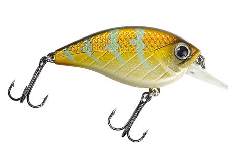 IMPACT JOLT 2.5F MANDARIN