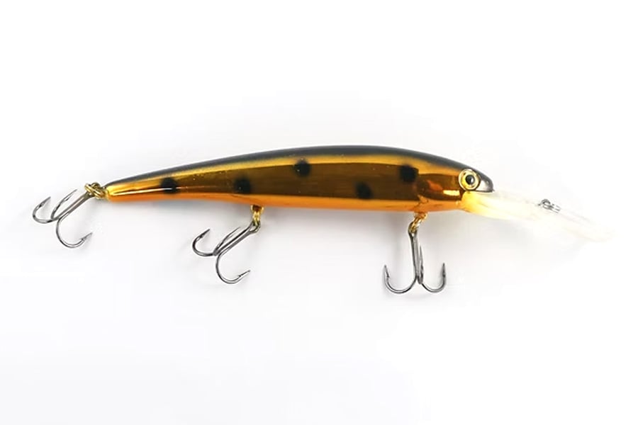 Jt Customs JT Custom Bandit Gold Muffin