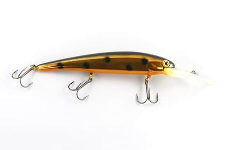 JT CUSTOM BANDIT GOLD MUFFIN