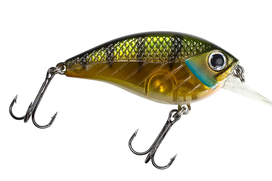 Lunkerhunt Impact 2.5F Jolt Green Back