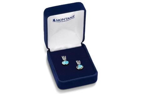 TRAILING TURQUOISE EARRINGS