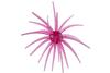 Color: PALODUROPURPLE