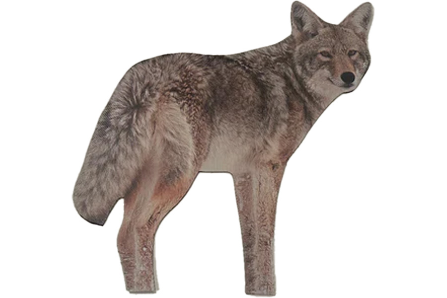 Buckinabag Brody The Coyote