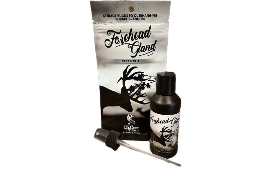 Conquest Scents Forehead Gland Scent