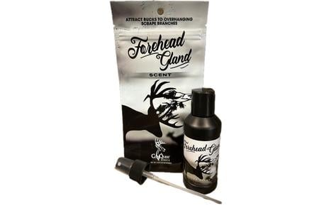 FOREHEAD GLAND SCENT