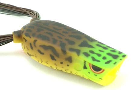 BRONZEYE POP 60 OUTBACK