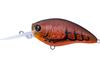 Color: MATTRANSBROWNCRAW