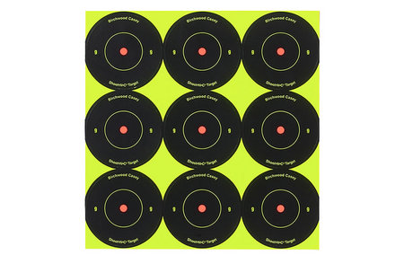 BIRCHWOOD CASEY Shoot-N-C 2 inch Targets (12 Sheets)