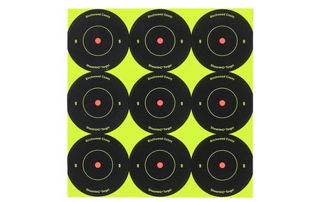 BIRCHWOOD CASEY Shoot-N-C 2 inch Targets (12 Sheets)