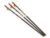 RAVIN CROSSBOWS RAVIN ARROWS 400GR. 3 PK .003