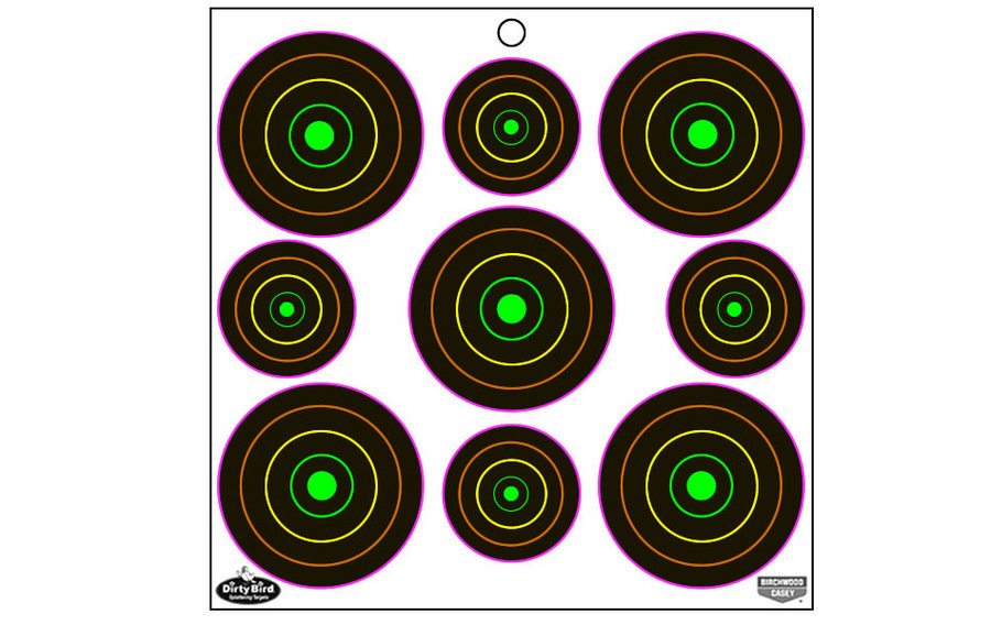 BIRCHWOOD CASEY DIRTY BIRD MULTI-COLOR TARGETS 180-PK