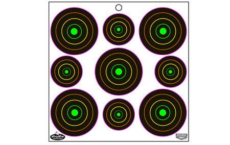 BIRCHWOOD CASEY Dirty Bird Multi-Color Targets (180 Pack)