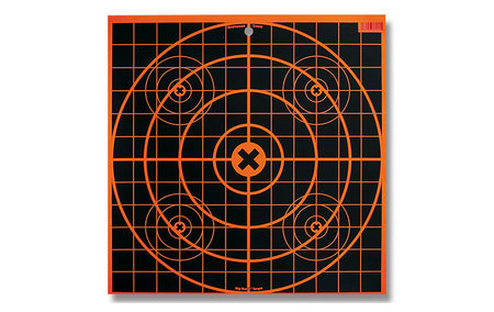 BIRCHWOOD CASEY Big Burst Revealing Targets 12-inch (3-Pack)