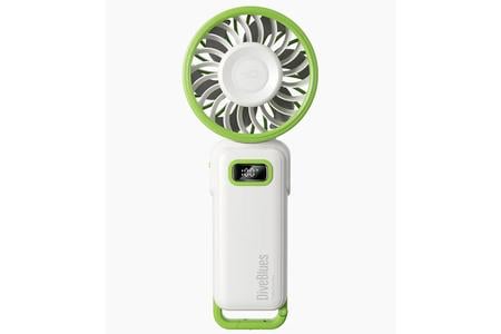 FANZY HANDHELF FAN GREEN